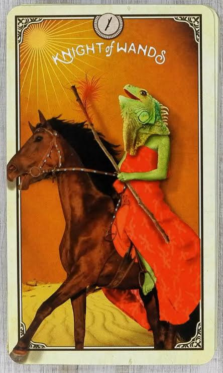 Tarot of Curious Creatures